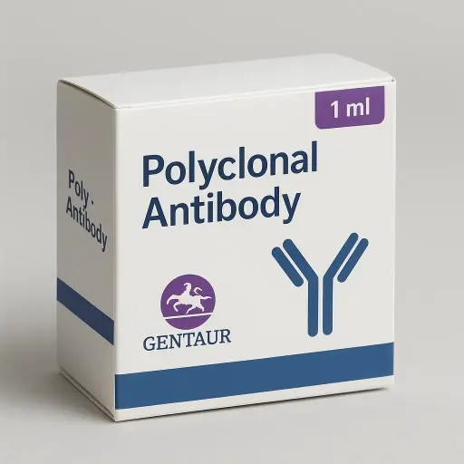 (KO Validated) NDUFS2 Polyclonal Antibody