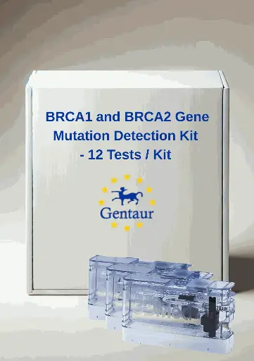 [MA-2107] 3DMed BRCA1 and BRCA2 Gene Mutation Detection Kit- 12 Tests/Kit