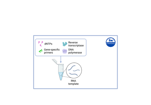 [R3-​P440-​S3/9] RT PCR Test Kits  SARS-CoV-2