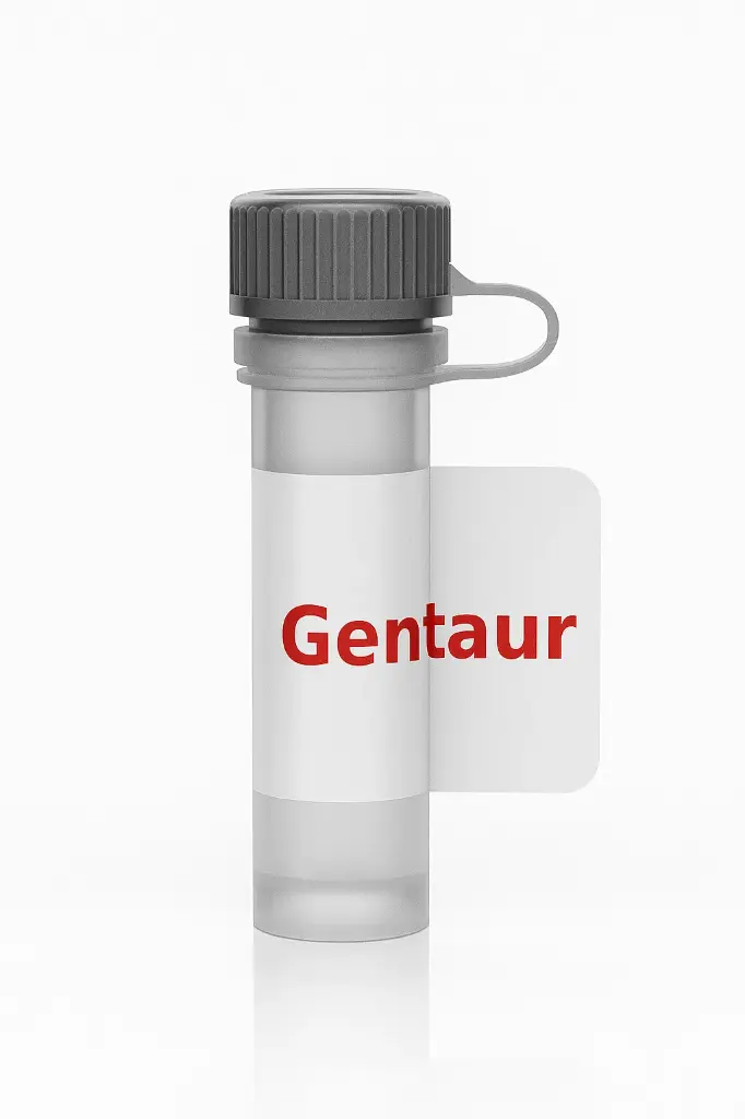 [ABSMA-4168] Rabbit Anti-DGKA MAb, Ca13635