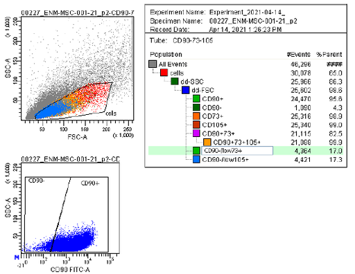 [GEN300647MA] Human Mesenchymal Stem Cells - Endometrium