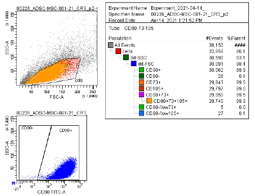 [GEN300645MA] Human Mesenchymal Stem Cells - Adipose Tissue